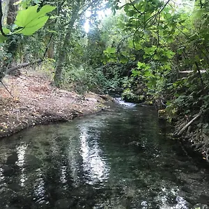 Bosque Alto El Bosque (Cadiz)